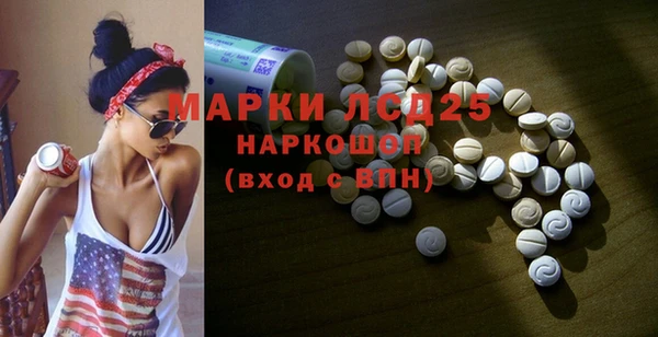 ГАЛЛЮЦИНОГЕННЫЕ ГРИБЫ Алексин
