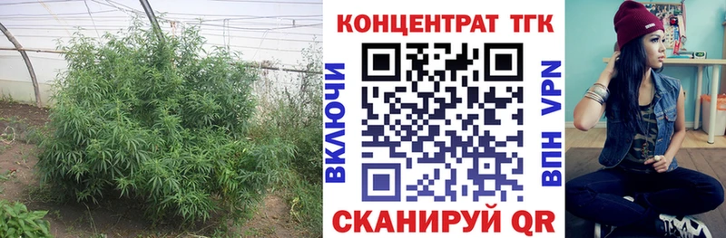 купить наркотики сайты  Каргат  Дистиллят ТГК жижа 