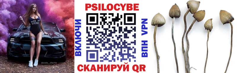Псилоцибиновые грибы GOLDEN TEACHER  Каргат 
