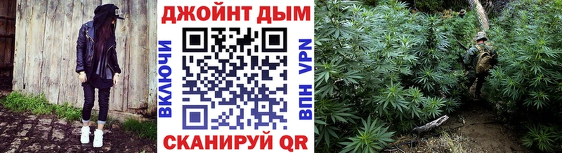 где продают наркотики  сайты даркнета официальный сайт  Конопля Amnesia  Каргат 
